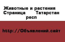  Животные и растения - Страница 11 . Татарстан респ.